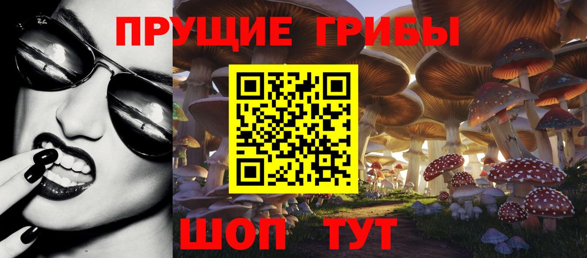 Буйнакск  Псилоцибиновые грибы прущие грибы  Вход с VPN 